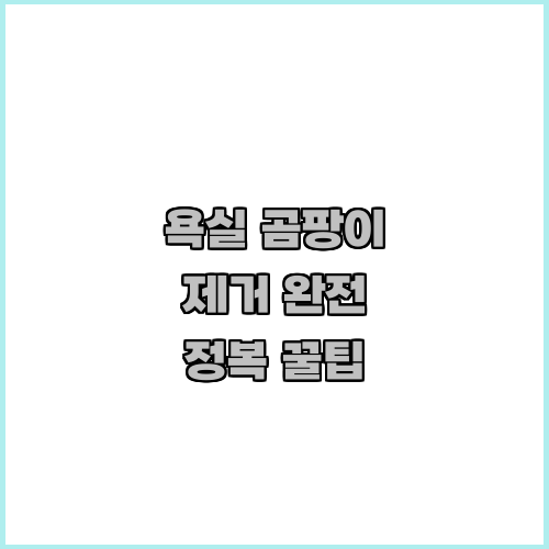 욕실 곰팡이 제거 완전 정복 꿀팁