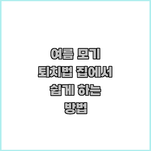 여름 모기 퇴치법 집에서 쉽게 하는 방법