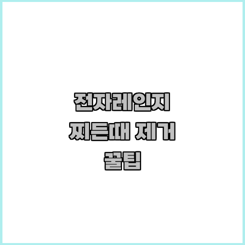 전자레인지 찌든때 제거 꿀팁