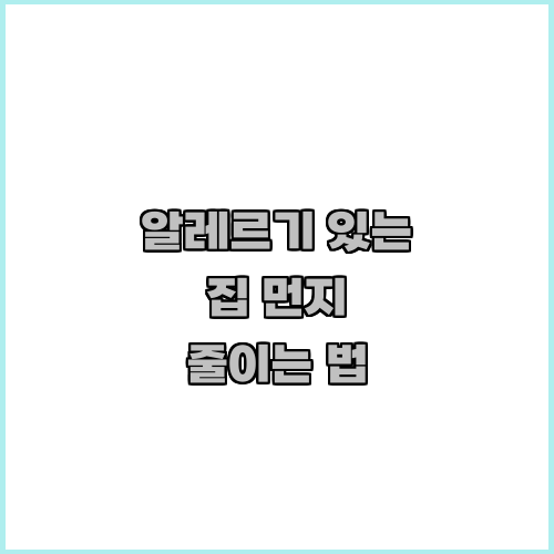 알레르기 있는 집 먼지 줄이는 법